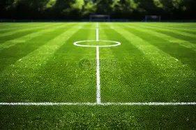 梦想之光,大连聋协球,迷团,宾果彩票网,中国宾果彩票网官方,宾果彩票网官网,宾果彩票网首页