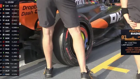 “创新垂钓技巧：渔夫无需鱼竿，河中巧妙布局四自动捕鱼装置”