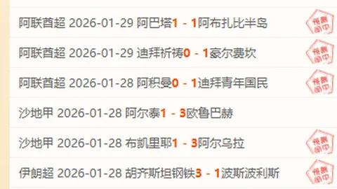 多特蒙德不敌勒沃库森，德甲赛场上演意外败绩